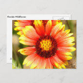 Florida Wildblume Postkarte (Vorne/Hinten)