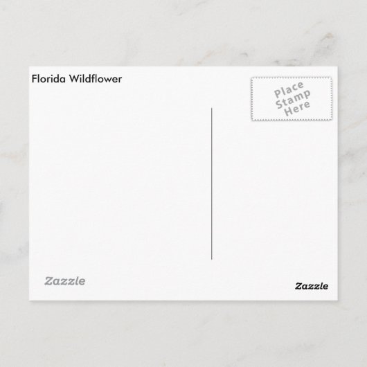 Florida Wildblume Postkarte (Rückseite)