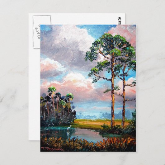 Florida Wilderness Postkarte (Vorne/Hinten)