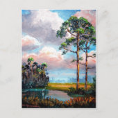 Florida Wilderness Postkarte (Vorderseite)