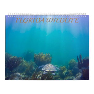 Florida Wildlife Calendar 2020 Kalender