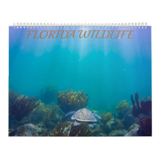 Florida Wildlife Calendar 2020 Kalender