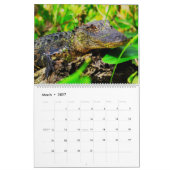 Florida Wildlife Calendar 2020 Kalender (Mär 2027)