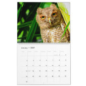 Florida Wildlife Calendar 2020 Kalender (Jan 2027)