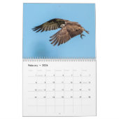 Florida Wildlife in Pinellas Landkreis 2026 Kalender (Feb 2026)