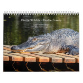 Florida Wildlife in Pinellas Landkreis 2026 Kalender (Titelbild)