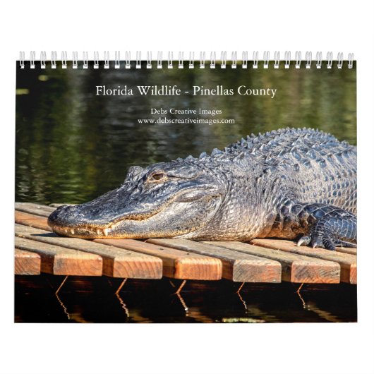 Florida Wildlife in Pinellas Landkreis 2026 Kalender (Titelbild)