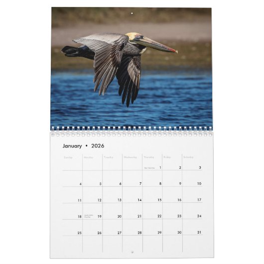 Florida Wildlife in Pinellas Landkreis 2026 Kalender (Jan 2026)