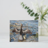 Florida Wildtiere - Vögel Postkarte (Stehend Vorderseite)
