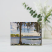 Florida Winter Postcard Postkarte (Stehend Vorderseite)