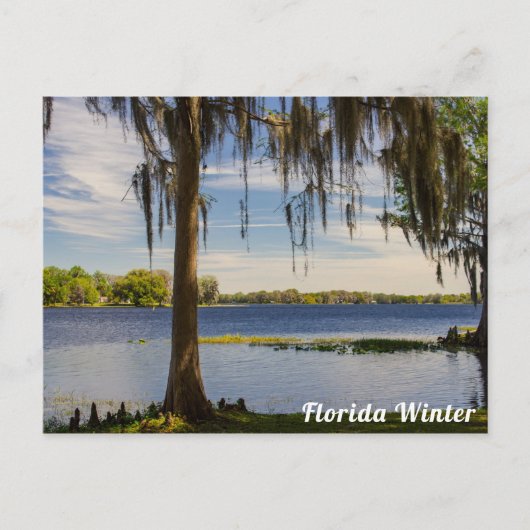Florida Winter Postcard Postkarte (Vorderseite)