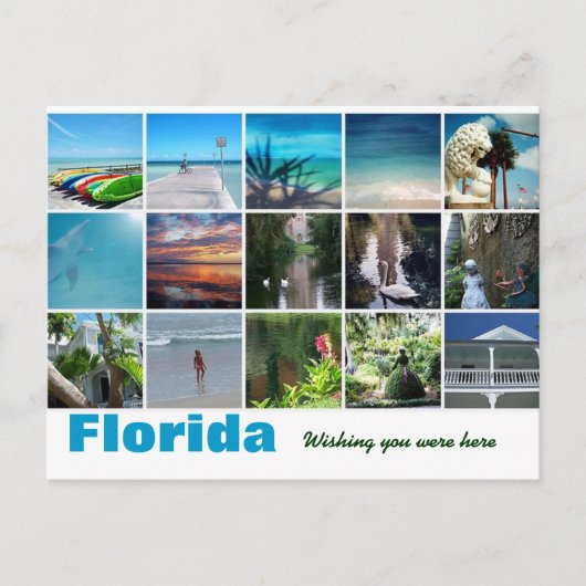 Florida Wünschenswert Sie waren hier Postkartenfot Postkarte (Vorderseite)