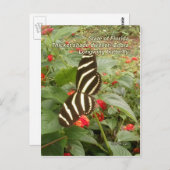 Florida Zebra Longwing Butterfly Postkarte (Vorne/Hinten)
