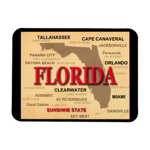 Floridagroßstadt-und -stadtStaatsstolz-Karte Magnet
