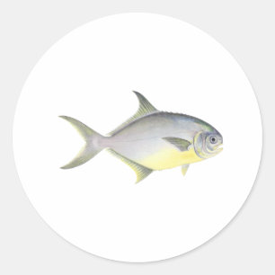 FloridaPompano Runder Aufkleber
