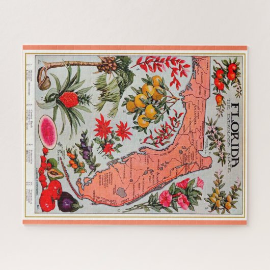 Floridas Bounty 16x20 Jigsaw Puzzle (Horizontal)