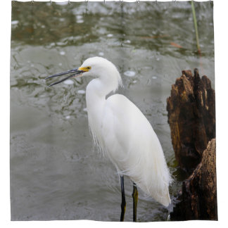 Florida's Singing Egret Duschvorhang