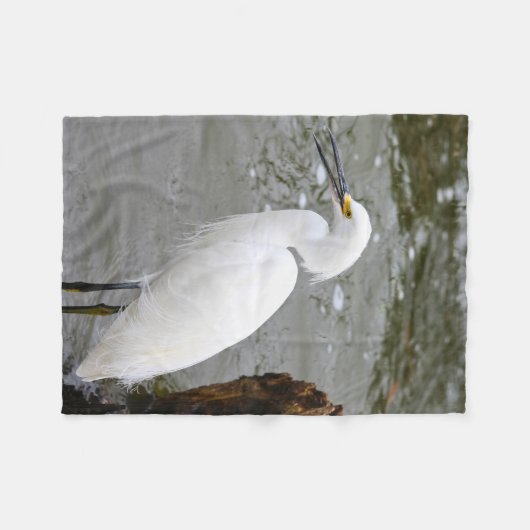 Florida's Singing Egret Fleecedecke (Vorderseite (Horizontal))