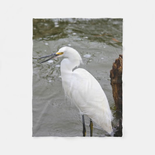 Florida's Singing Egret Fleecedecke (Vorderseite)