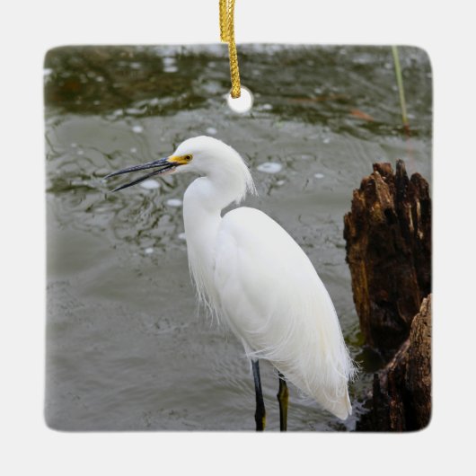 Florida's Singing Egret Keramikornament (Vorderseite)