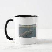 Floridas Sunshine Skyway BridgeFlorida Tasse (Links)