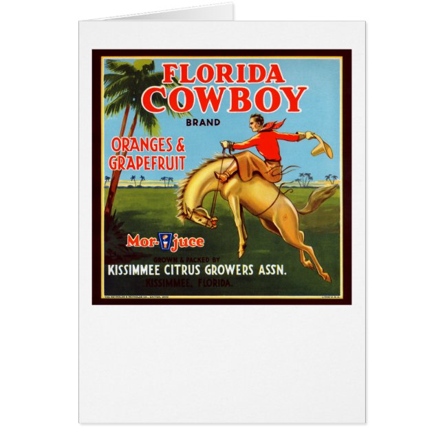 Floriday Cowboy (Vorne)