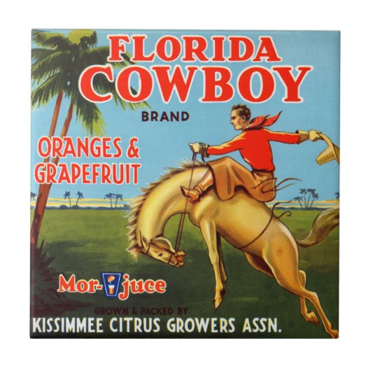 Floriday Cowboy Fliese (Vorderseite)