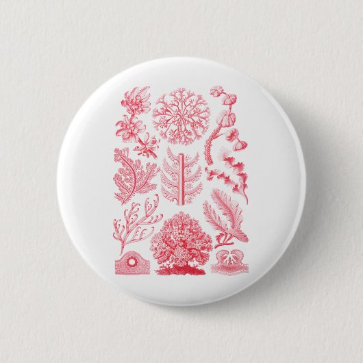 Floriden Button (Vorderseite)