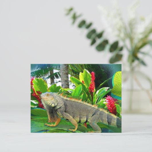 Floridian Iguana POSTCARD Postkarte (Stehend Vorderseite)