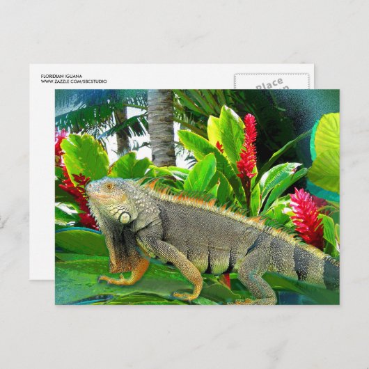 Floridian Iguana POSTCARD Postkarte (Vorne/Hinten)