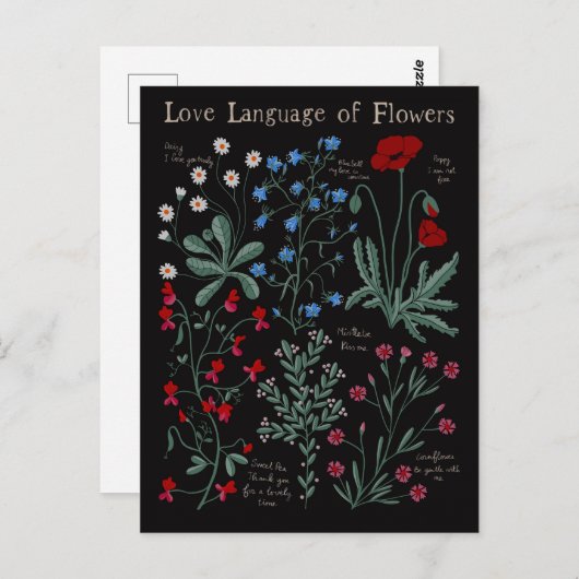 Floriograpy Liebe Sprache der Blume botanisch Postkarte (Vorne/Hinten)
