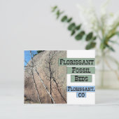 Florissant Fossil Beds Postkarte (Stehend Vorderseite)