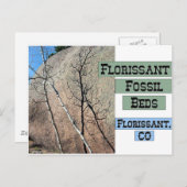 Florissant Fossil Beds Postkarte (Vorne/Hinten)