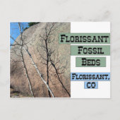 Florissant Fossil Beds Postkarte (Vorderseite)