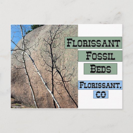 Florissant Fossil Beds Postkarte (Vorderseite)