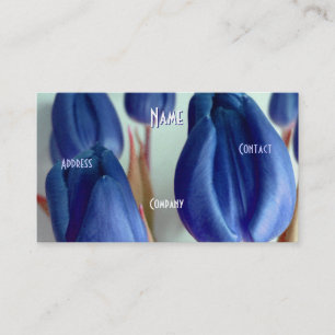 Florist - Blue Rosey Tulips Visitenkarte