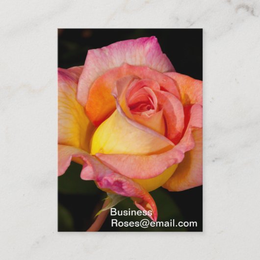 Florist Business Cards Visitenkarte (Vorderseite)