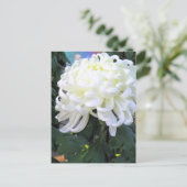 Floristenkneipe:Postkarte Postkarte (Stehend Vorderseite)