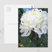 Floristenkneipe:Postkarte Postkarte (Vorne/Hinten)