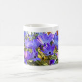 Florist's Cineraria Kaffeetasse (Mittel)
