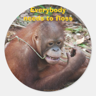 Flossing Zahn-Zahnpflegeaufkleber Runder Aufkleber