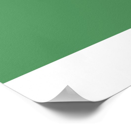 Flossoraptor Philosoraptor Poster (Ecke)