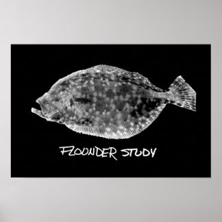 Flounder Study print "SEHR POPULAR" Poster