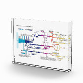 Flow Chart USA Fotoblock (Rechts)