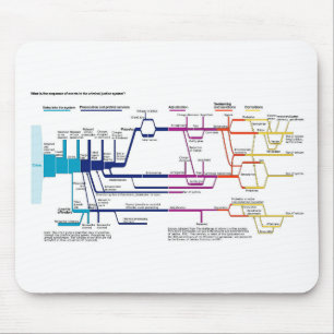 Flow Chart USA Mousepad
