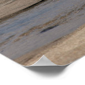 Flow - Scott Creek Beach Poster (Ecke)