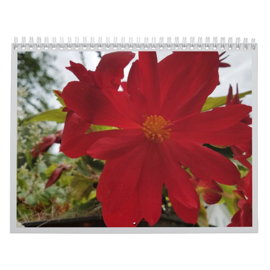 Flower Are It 2026 Calendar Kalender (Titelbild)