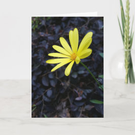 Flower at the Festival Notecards (Blank Inside) Karte
