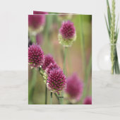 Flower Bee Thinking of You (photography by me) Karte (Rückseite)