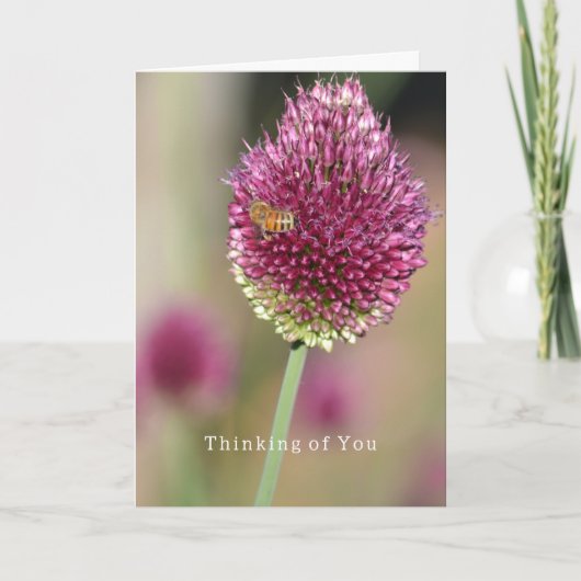 Flower Bee Thinking of You (photography by me) Karte (Vorderseite)